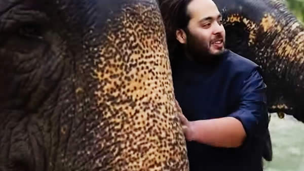 Anant Ambani Extends Massive Offer to Relocate 80 Stranded Hippos from Columbia to Vantara